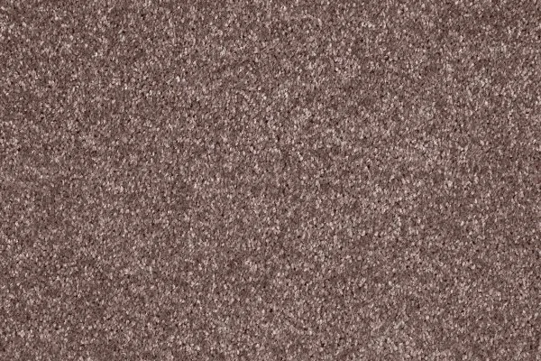 Ковровое покрытие AW Gala 60 - (5м) в Нижнем Новгороде