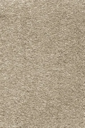 Ковровое покрытие AW Omnia 33 - (4м) в Нижнем Новгороде